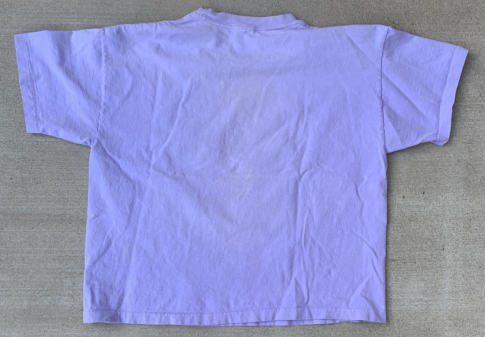 Vintage Club Palm Springs California One Size Crop Top T Shirt One Size 1990s image 4