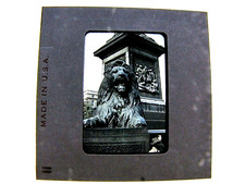 1955 Kodachrome Slide Photograph London England Trafalgar Square Landseer Lion