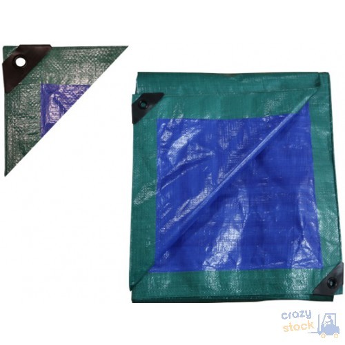 Telone Occhiellato 6x10 Papillon Verde Blu 130g/mq Polietilene