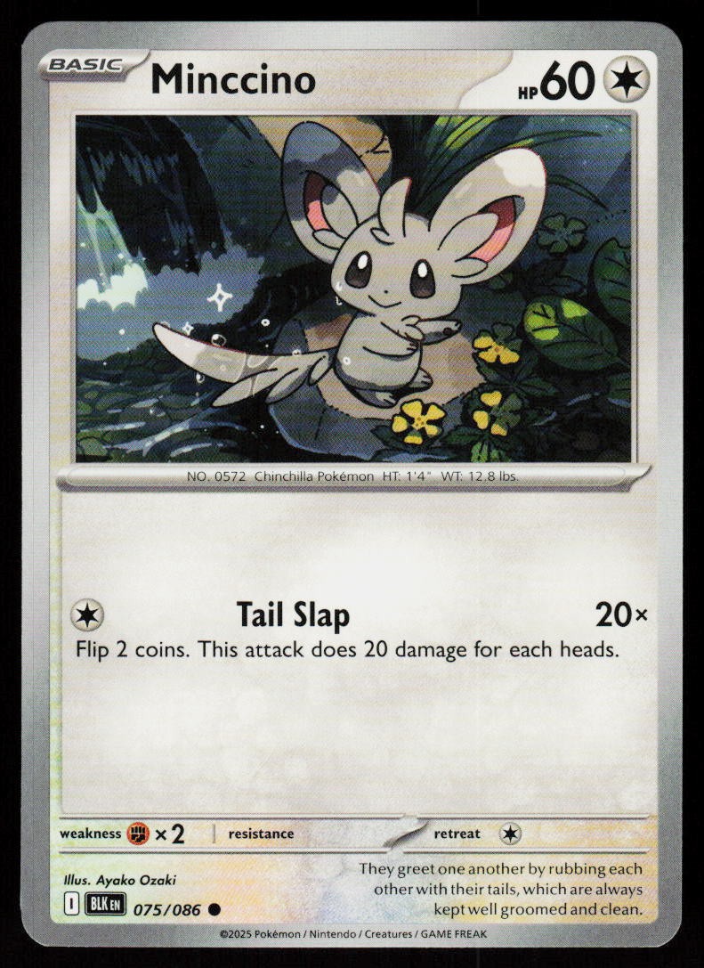 Minccino 075/086 Common Black Bolt Pokemon Near Mint