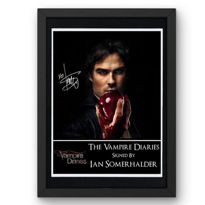 Vampire Diaries Damon Salvatore Ian Somerhalder V2 signiert gerahmt ODER montiert