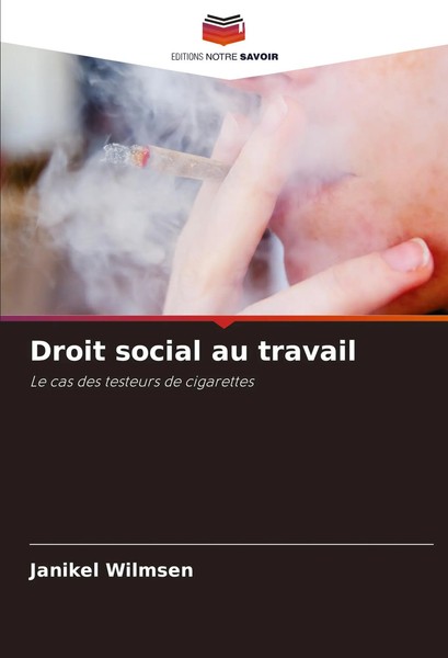 Janikel Wilmsen | Droit Social Au Travail | Taschenbuch | FranzöSisch (2024)-image
