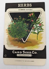 Vintage Herbs Seed Packet - Card Seed Co Fredonia NY - Summer Savory NOS