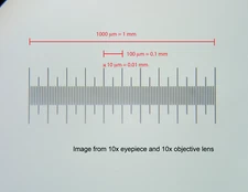 Microscope Stage Calibration Micrometer Slide USB Camera 0.01mm measuring ruler