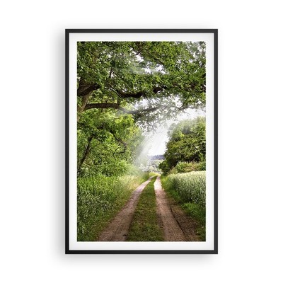 Wandbilder 61x91cm Poster Pfad Natur Wald Grün Wandposter Bilder Art Wanddeko