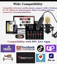 Headset Studio Recording Kit Podcast Mixer Equipment Condenser Microphone Set US