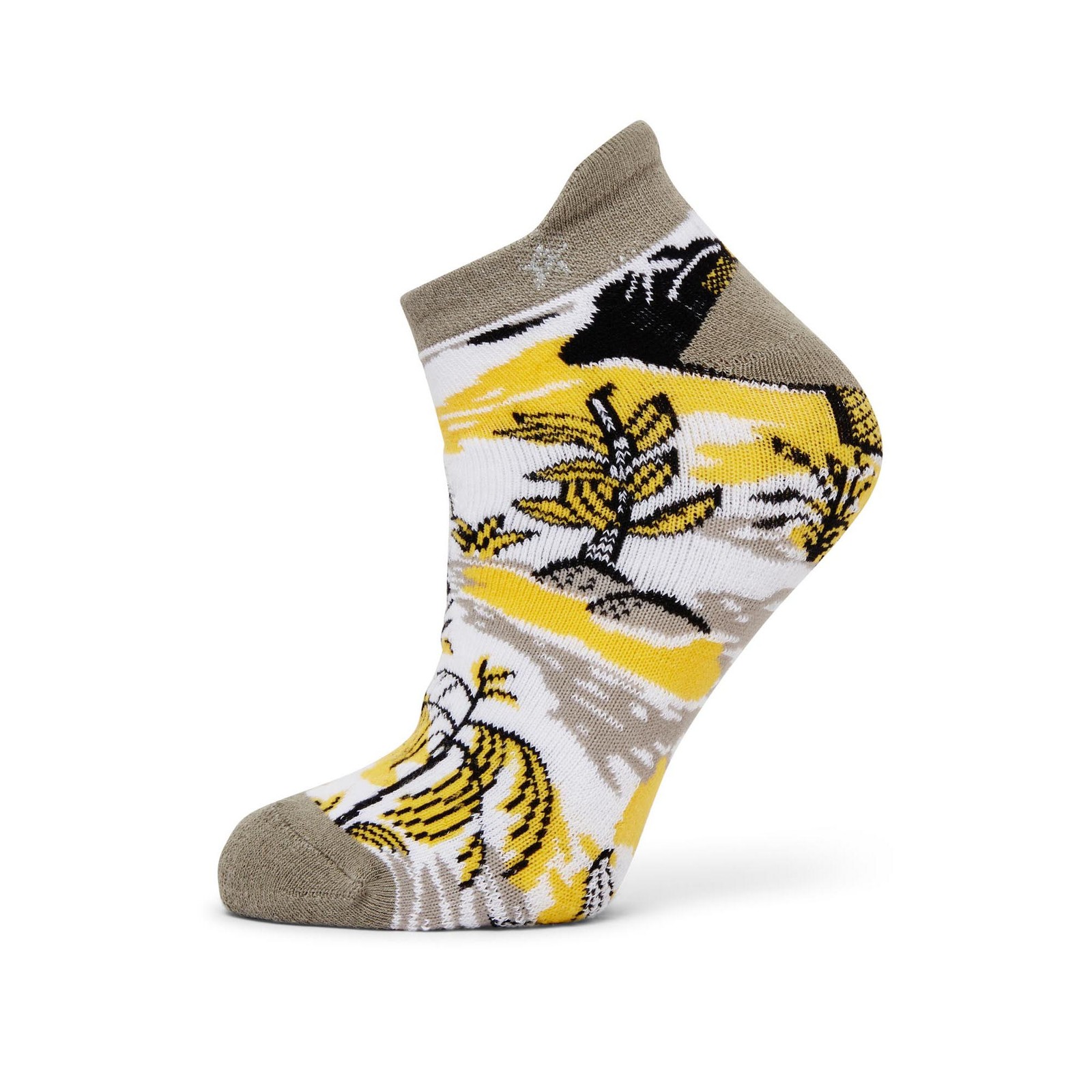 Swing Out Sister 2 Pair Pack of Cotton Rich Ankle Socks in Indian Dawn