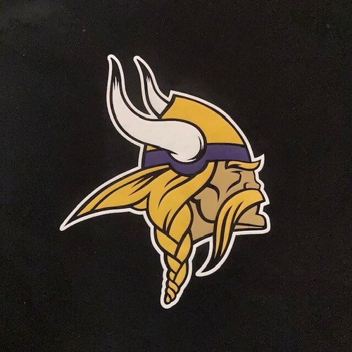 *NWT* MINNESOTA VIKINGS Nike Black NFL Primary Logo Pullover Hoodie (Men's 3XL) - 第 4/9 張圖片