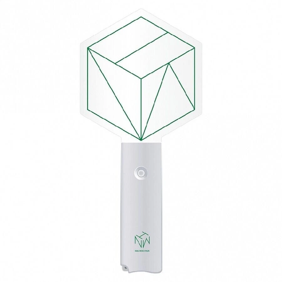 Infinite 2024 light stick