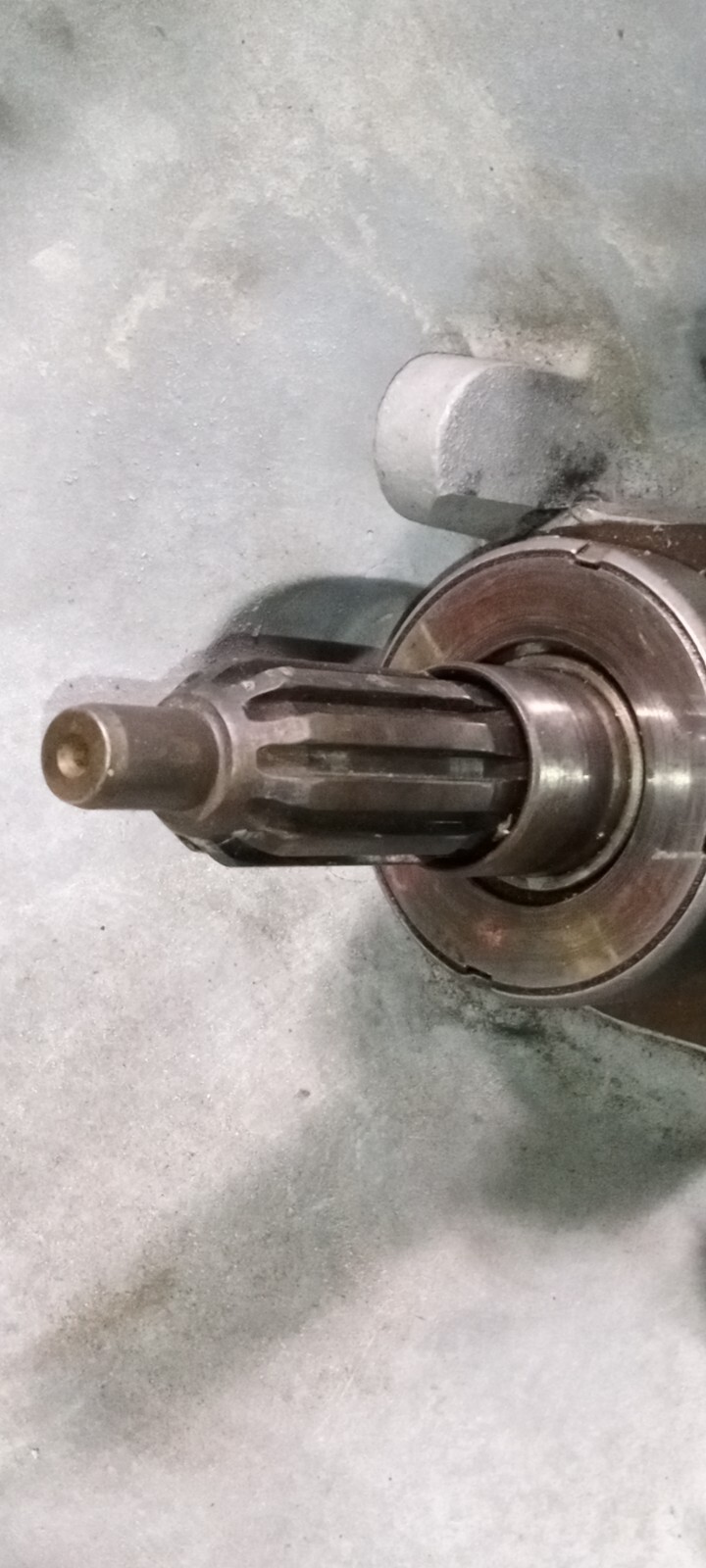 Ferrari 308 GTSi Transmission Clutch Bell Housing_116377_Input Shaft_Gears_Cover