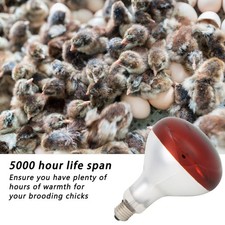 Chicks Heat Lamp Bulb Infrared Basking Spot Heat Reptile Heat Lamp Red Bulb