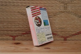 Super Mario USA w/box manual Famicom NES Nintendo Japan Very Good- Condition!