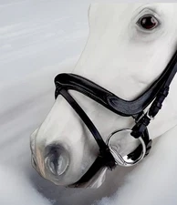 SALE! O/S Anatomical Crank Noseband by Kavalkade “Ivy” Black, German Made.