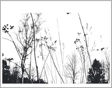 Branches Stems Image Clear Stamp Simple Design Pattern All New HTF Free Shipping