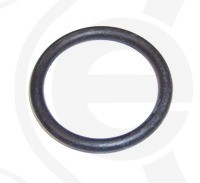 Elring 717.730 Dichtring, KüHlmittelrohrleitung For Chana Changan Changhe Esemka