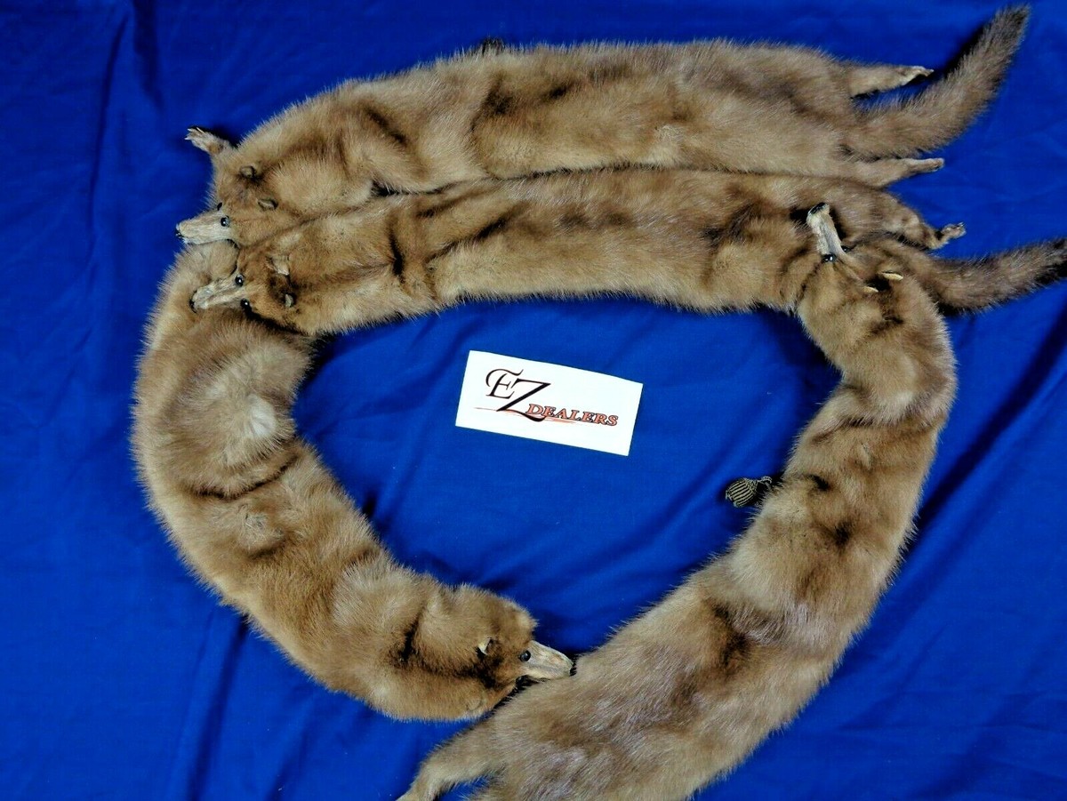 Vintage 50s Brown Mink Fur Pelt Animal Shawl Shoulder Wrap Vintage 50s Brown Mink Fur Pelt Animal Shawl Shoulder Wrap