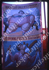 SL97 Original Slide 1960&rsquo;s Circus World Museum sideshow banners 372a