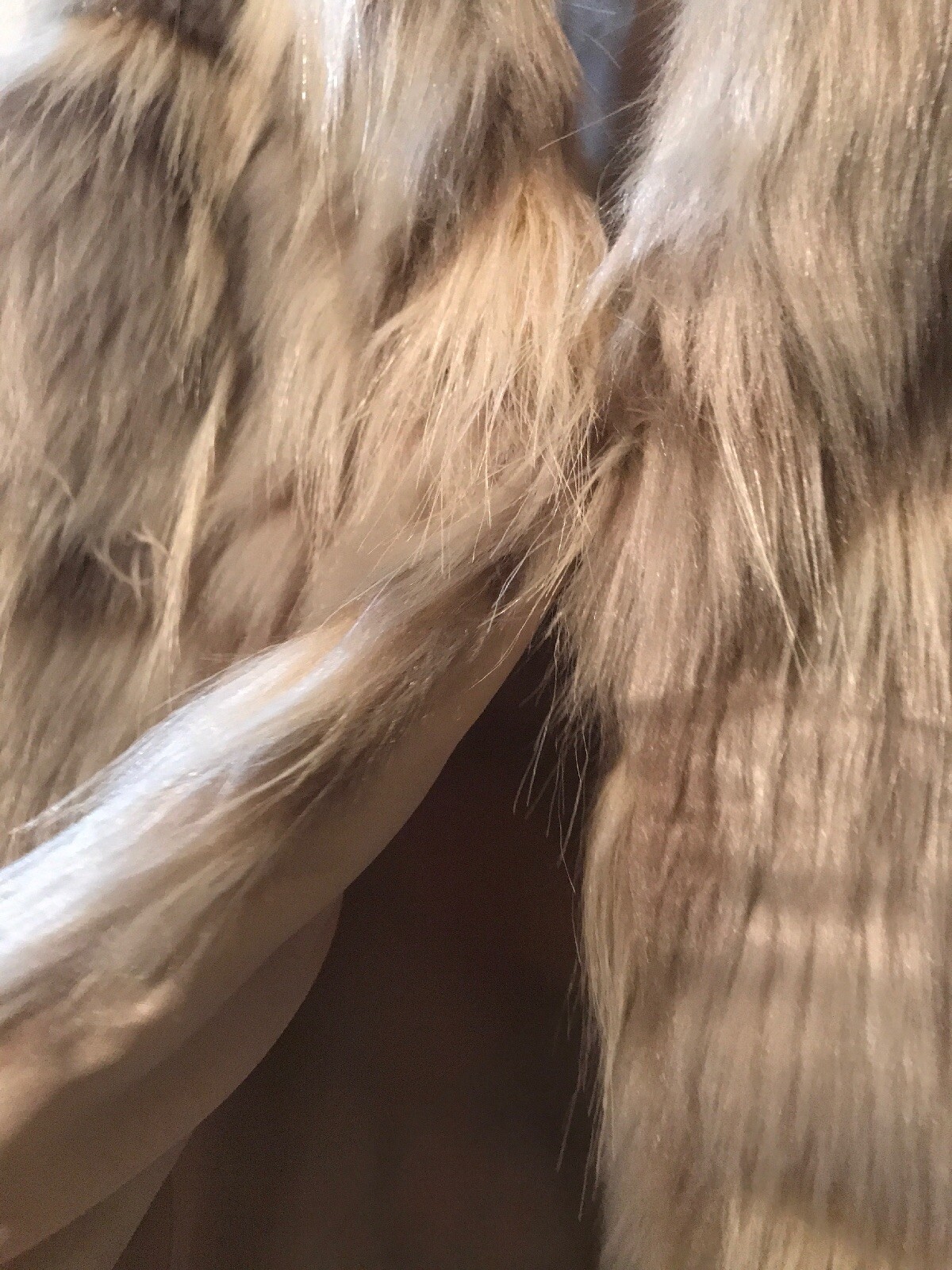 Picture 5 of 11