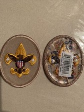 Tenderfoot Badge Emblem Patch BSA 2010 Backing