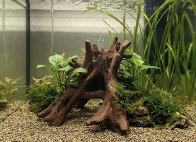 Aquarium Terrarium Organic Tree Root Cave