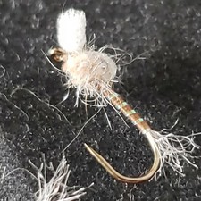 MIDGE PUPA TAN SIZE 14 FLIES CUSTOM SUSPENDED TIED FRONTIER FLY COMPANY