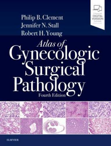 Atlas of Gynecologic Surgical Pathology Clement Stall Young Hardback 4e