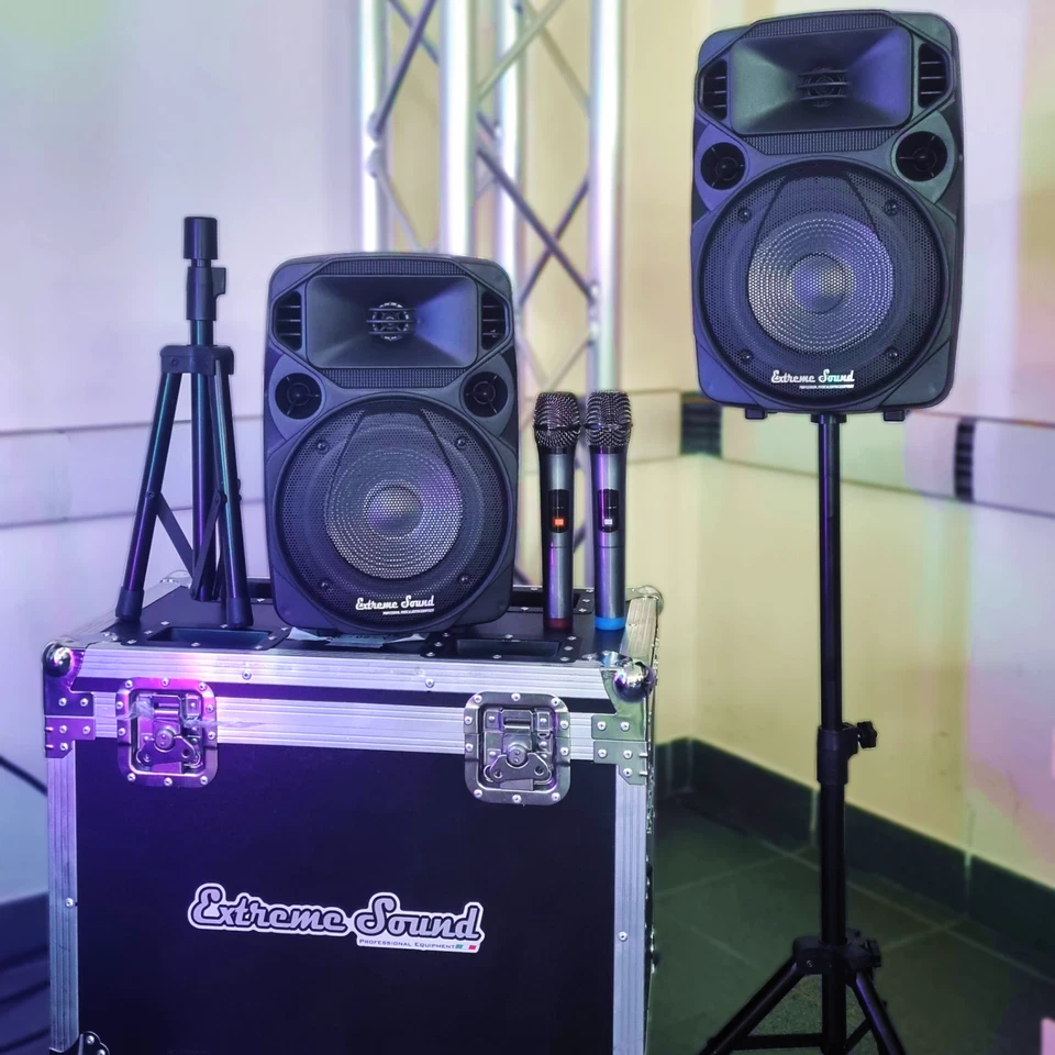 CASSE AUDIO AMPLIFICATE MINI KIT Karaoke BLUETOOTH RADIO 2 STATIVI e 2 MIC - Immagine 2 di 4