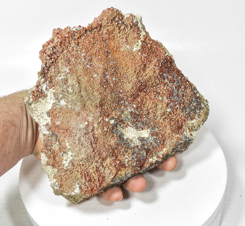 7,28" VANADINIT KRISTALLE auf Matrix Mibladen, Marokko Q631 - Bild 10 von 10