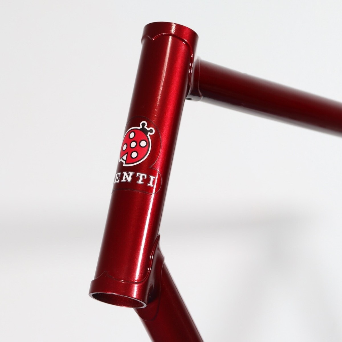 Restored Mino Denti Road Frameset (60 cm) | eBay