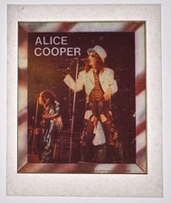 Original VINTAGE 1970s Heat Transfer | Alice Cooper Rock Concert 1976