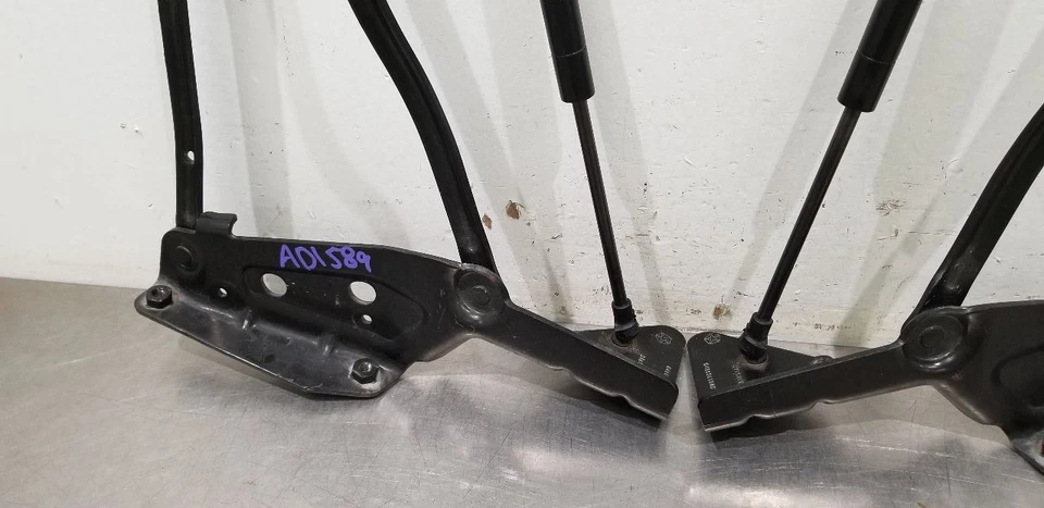 04 DODGE VIPER GEN 3 JUEGO BISAGRAS MALETERO TRASERO PAR Foto 4 de 4