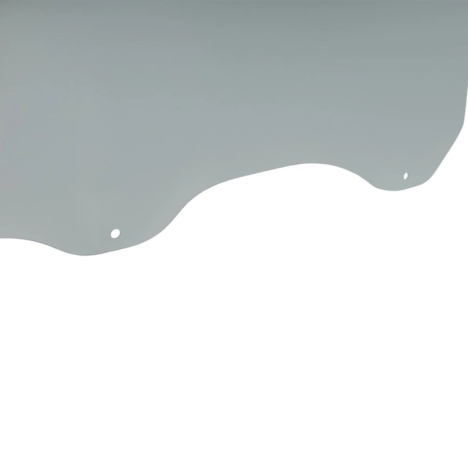 Gafas puerta conductor delantero lado izquierdo 824114D010 para Kia Sedona Entourage Foto 3 de 4