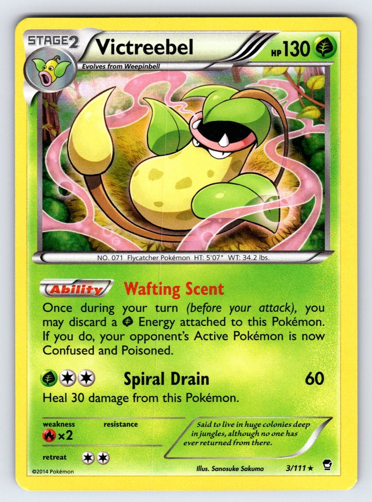 Victreebel 3/111 2014 B&W Furious Fists Pokemon Card TCG Holo Rare - Lp/Vlp