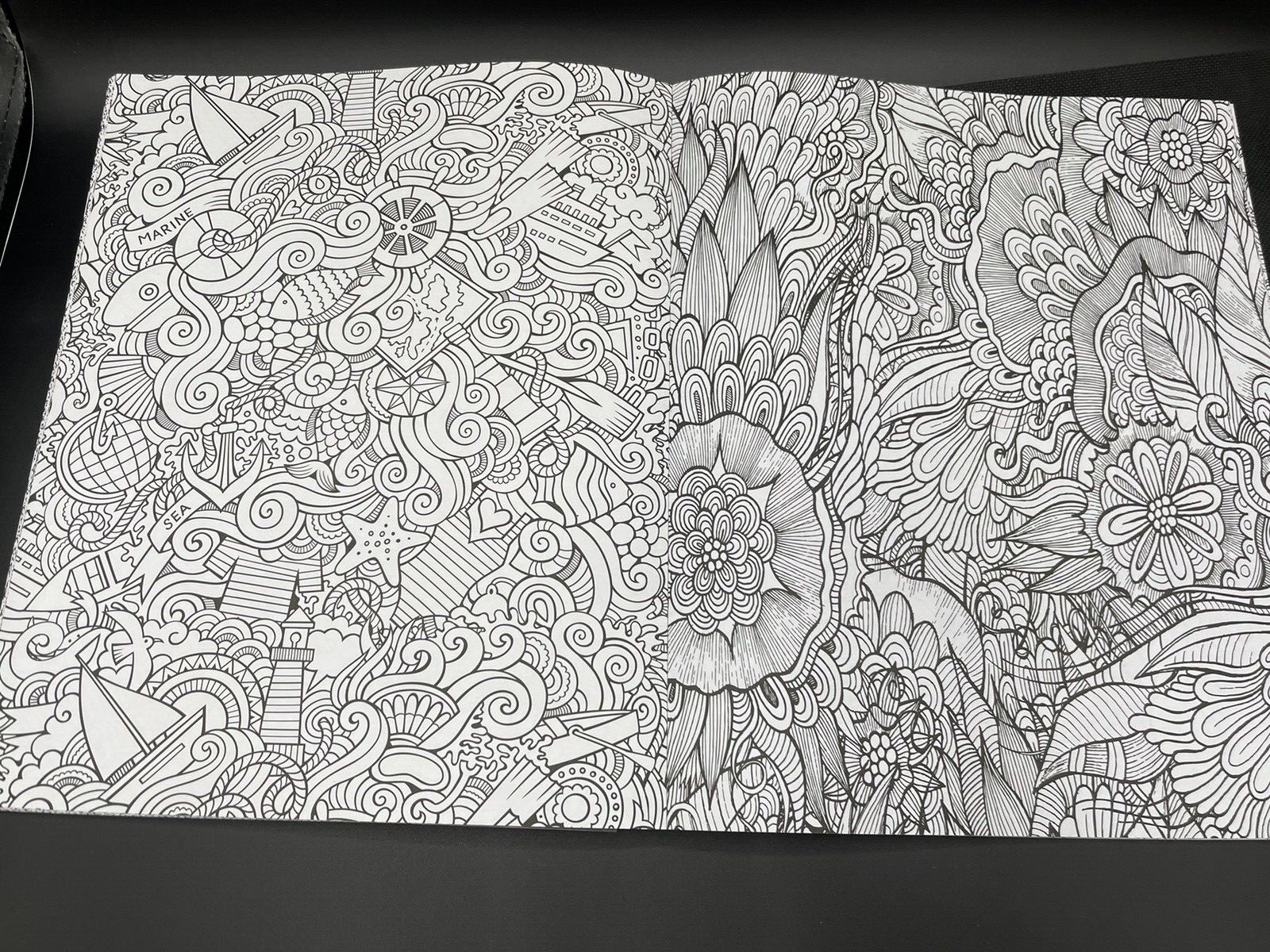 Picture 11 of 12
