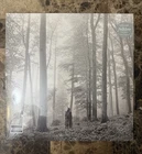 SEALED Taylor Swift Folklore 2020 Marbled In The Trees Vinyl LP MADE IN FRANCE