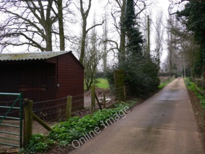 Photo 6x4 Access lane to Great Hookley Farm Elstead On the left are some  c2011