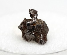 Campo del Cielo Iron Meteorite Specimen SHOOTING STAR w/ Display Case & ID card