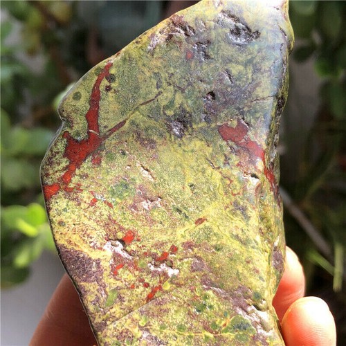 Natural Polished Dragon Blood Stone Jasper Crystal Mineral Specimen (193 g) Y118 - Picture 6 of 10