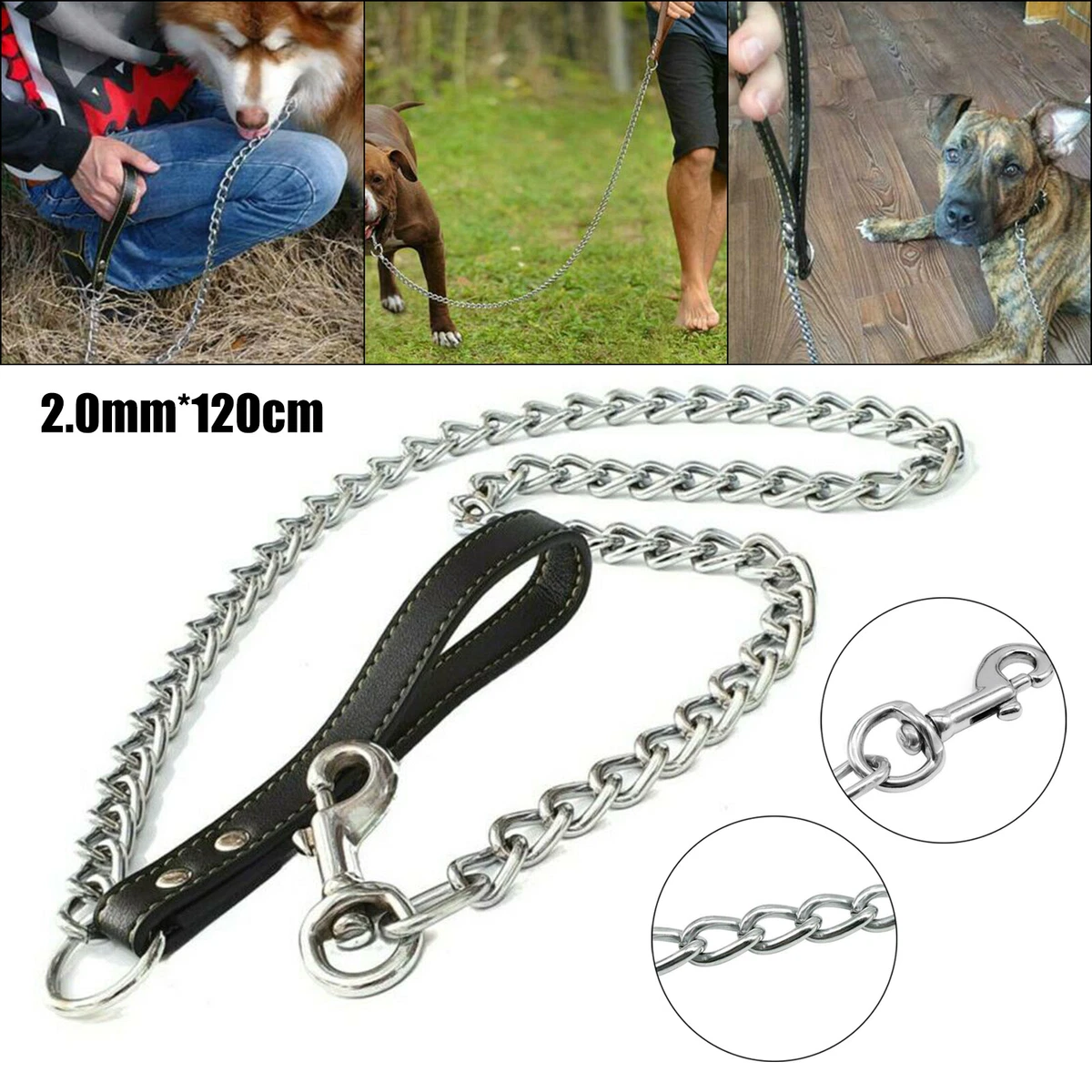 Metal dog best sale leash