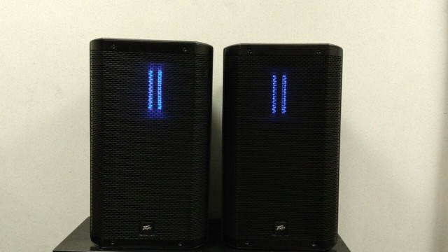 peavey ribbon speakers
