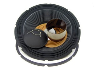 speaker recone kit