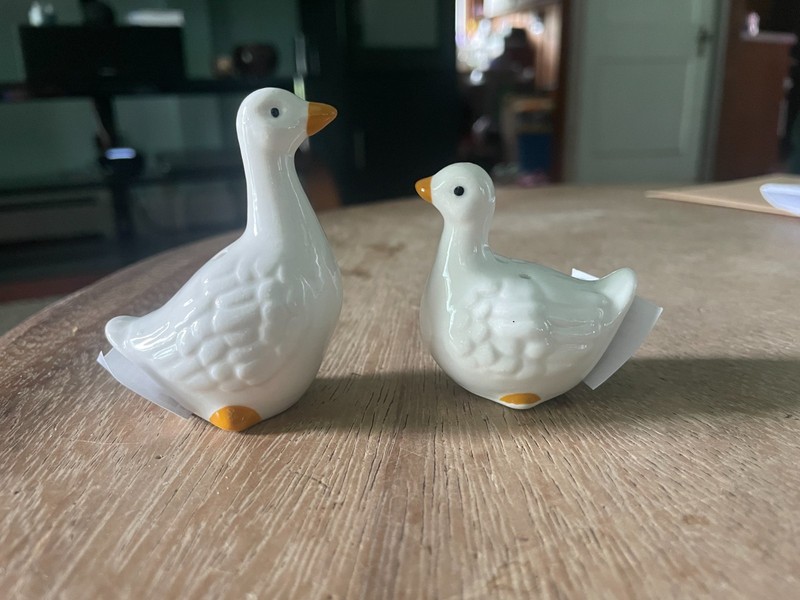 Mini Ducks Salt And Pepper Shakers NEW WITH TAGS