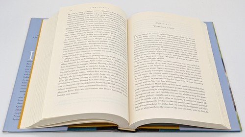 THE HORNET'S NEST President JIMMY CARTER SIGNED 1ST ED First HCDJ 2003 + Proof! - Picture 7 of 15