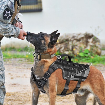 malinois tactical harness