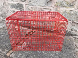 top loading wire cat carrier