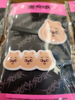 STRAY KIDS SKZOO HairPin STAND 樂-STAR official popup MD