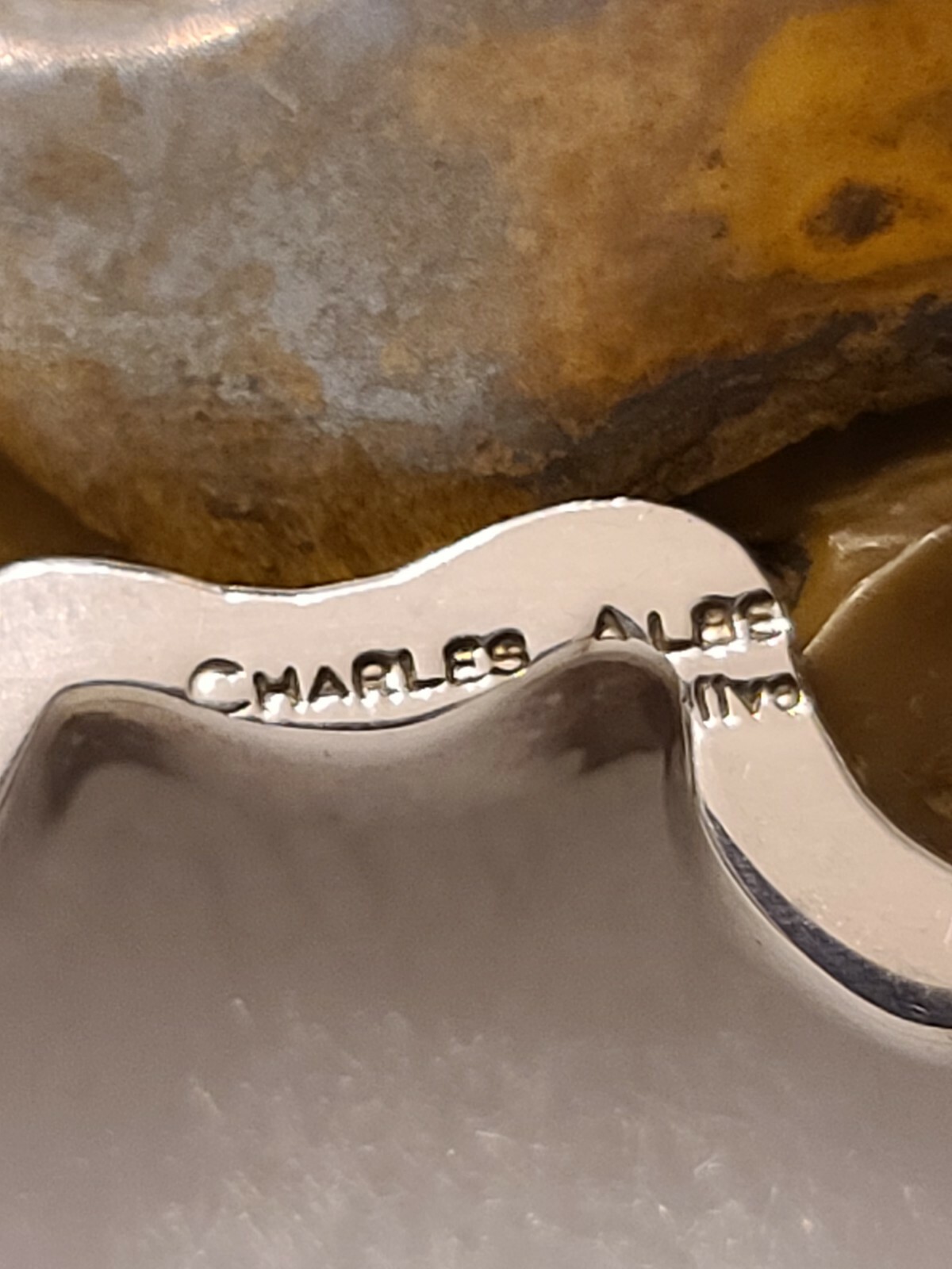 Charles Albert fine sterling silver & Tiger Eye Lizard reptile pendant Unique 2022, okazja