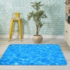3D Clear Water N1279 Game Rug Mat Elegant Photo Carpet Mat Eve 2023