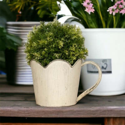 5'' Mini Yarrow Fern Ball