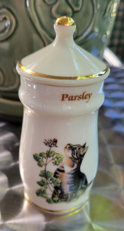 Lesley Anne Ivory Parsley Ceramic Spice Jar w/ Lid White/Gold Vintage